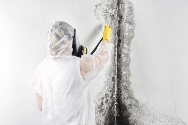 Best Ceiling water damage repair  in USA